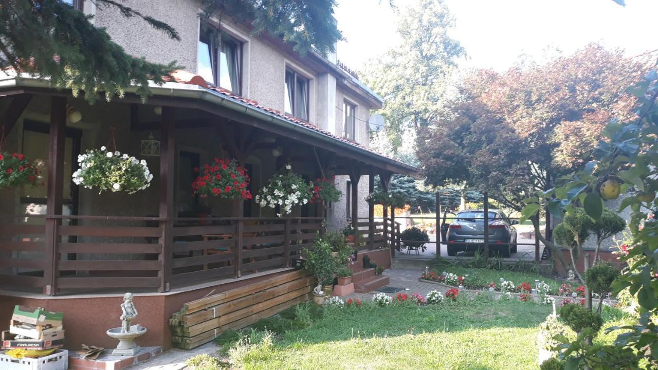 Antonowka "Pod Dudziarzem" Appartement Radomierz Buitenkant foto